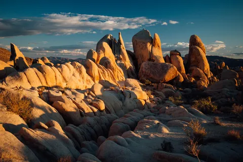 Joshua Tree NP [OC], [2000x1333]