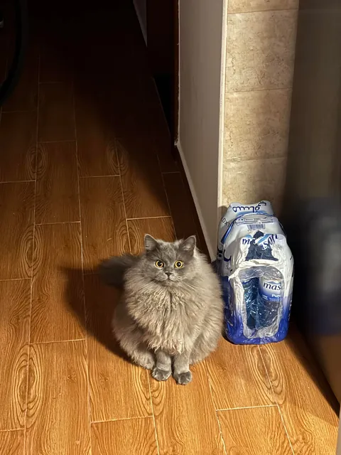 First day home vs yesterday!