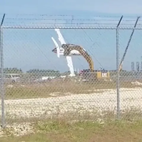 Just a CAT playing with the plane
