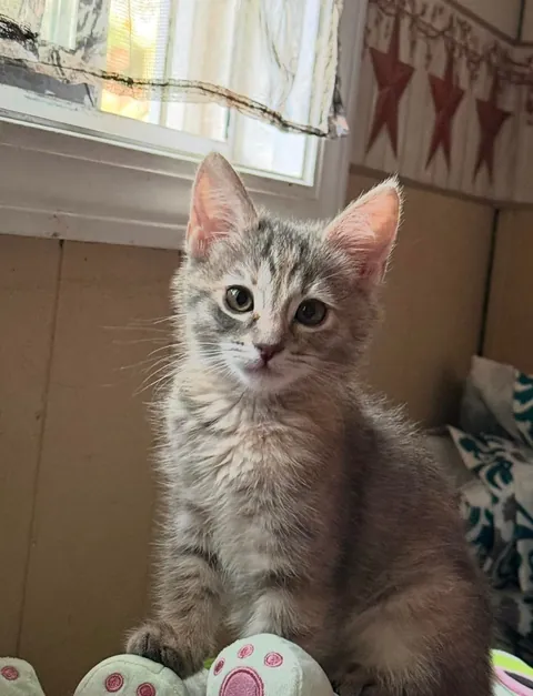 She was so tiny 😭😭😭