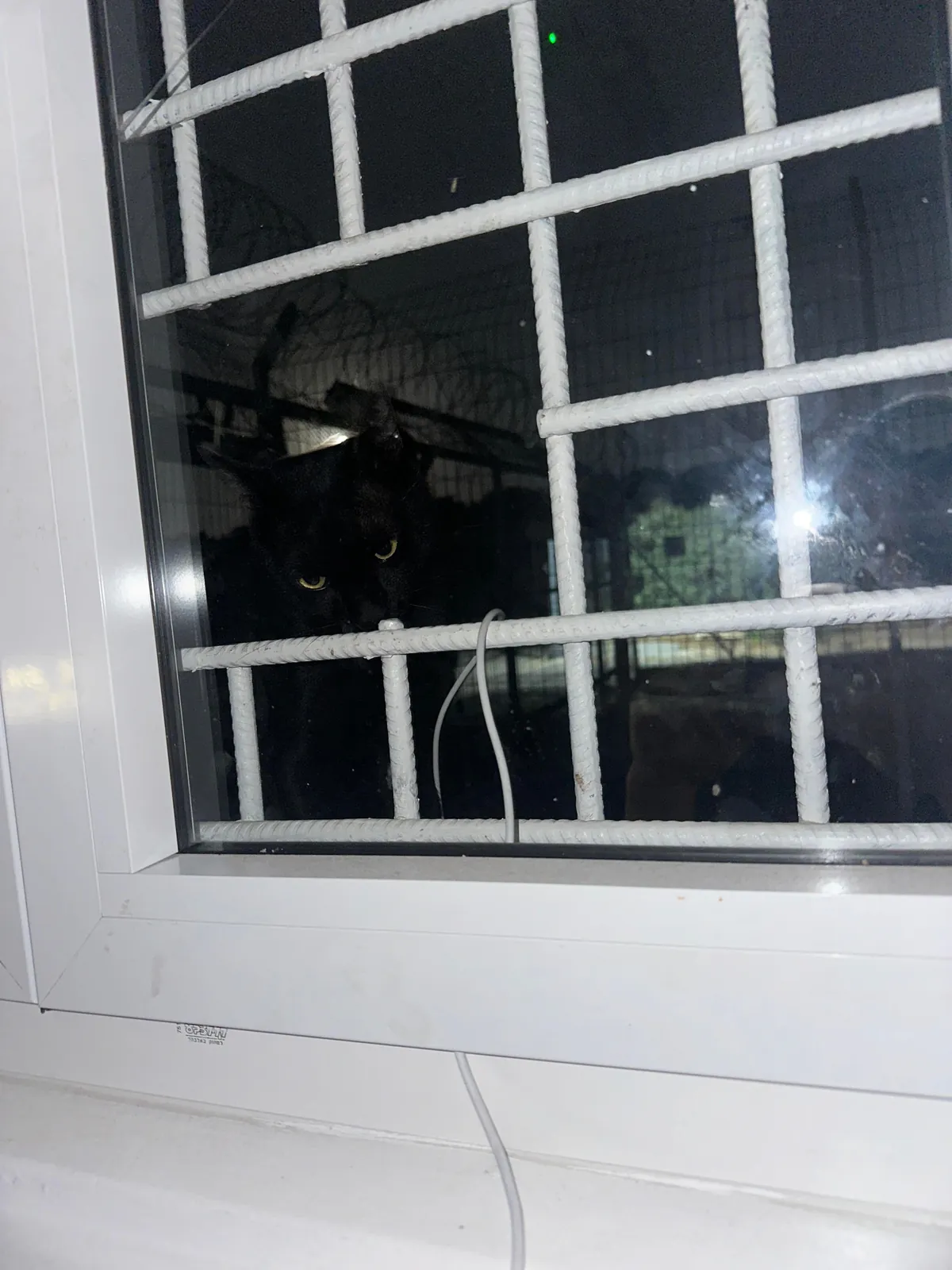 I think I really fucked up :(