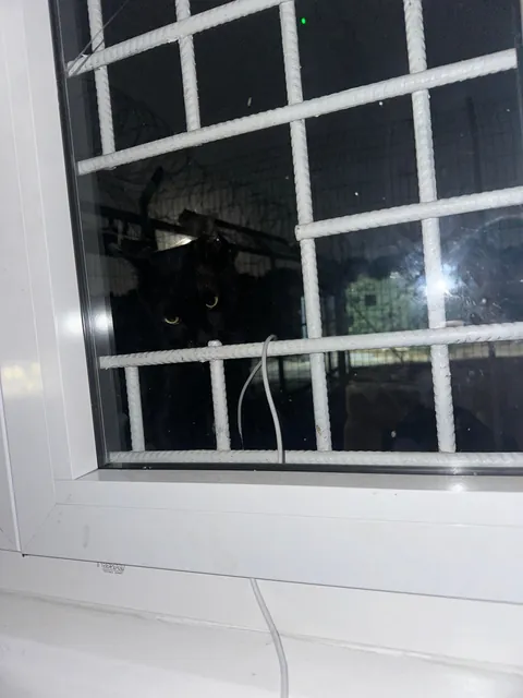 I think I really fucked up :(