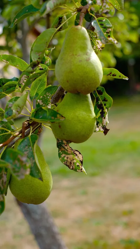 Love me a September stroll through the gardens