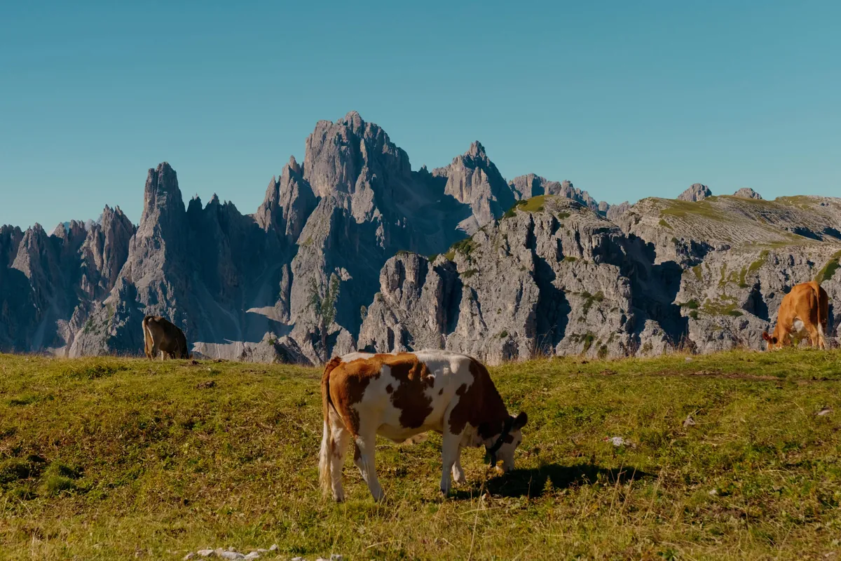Went to the Dolomites!