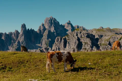 Went to the Dolomites!