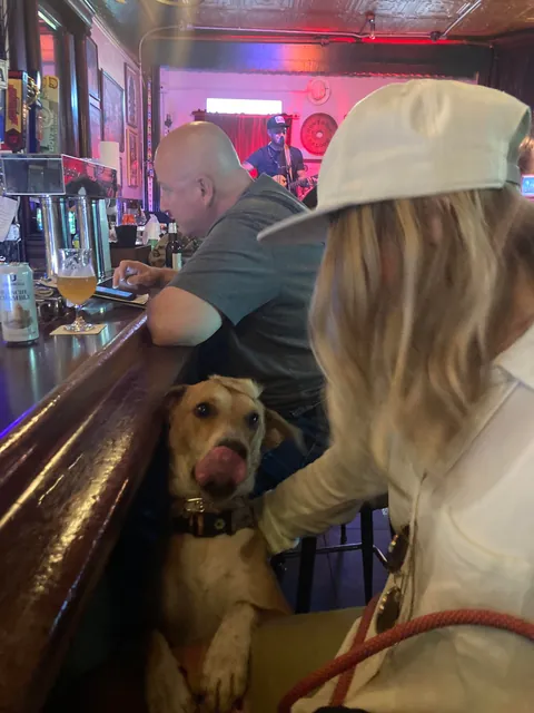 Good Boy w/ a Mohawk