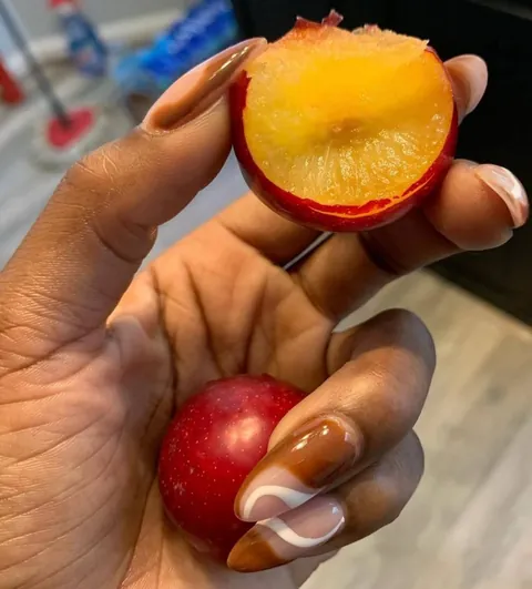 Just enjoying my first harvest in my own home🥰.