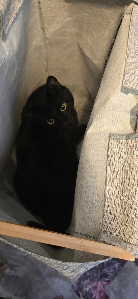 Its Friday the 13th!! Show me your Voids!!!