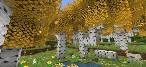Birch forest update