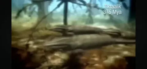 I tried the "create the exact replica of this image, don't change a thing" 375 billion times.