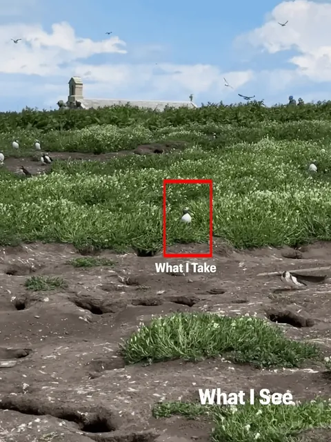 Photographer Shows His POV vs The Photos He Takes.