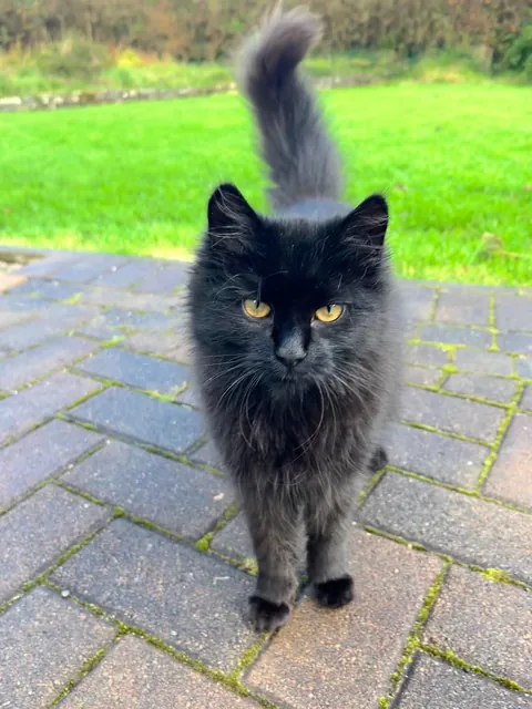 Three months later..