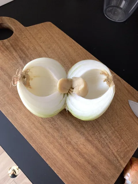 I cut a healthy looking onion which was actually hollow and rotting from the inside.