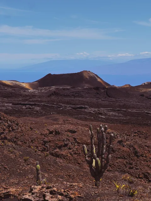5 days in Galapagos in Sep 2025.