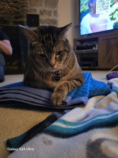 I'll always love and miss you Sushi