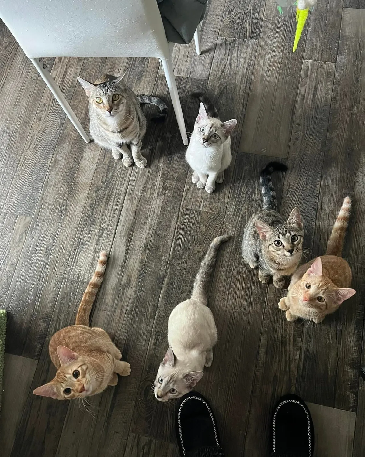 Kept the family together