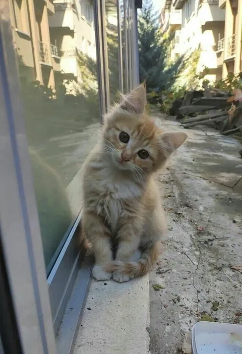 Help me name her.