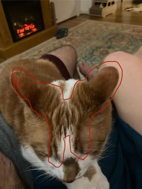 What I asked for vs. what I got