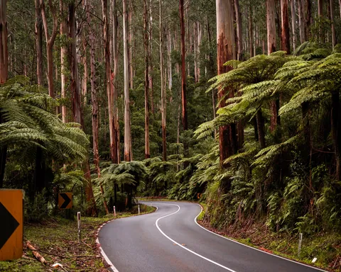 Photos from in and around Melbourne, Australia. 