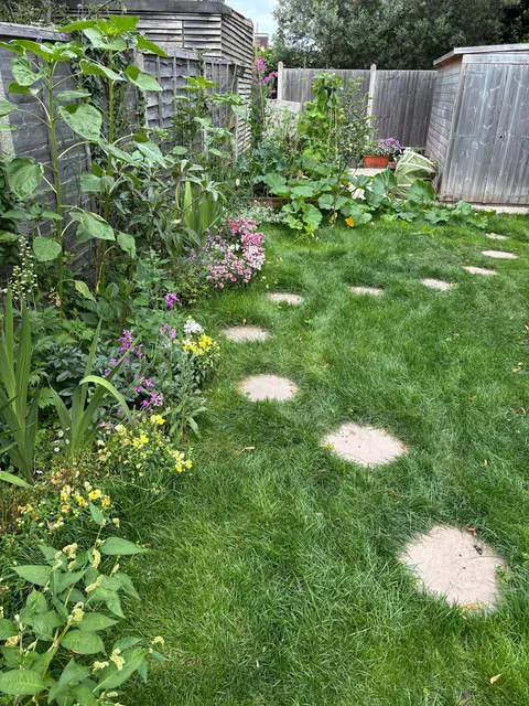 Garden before and after