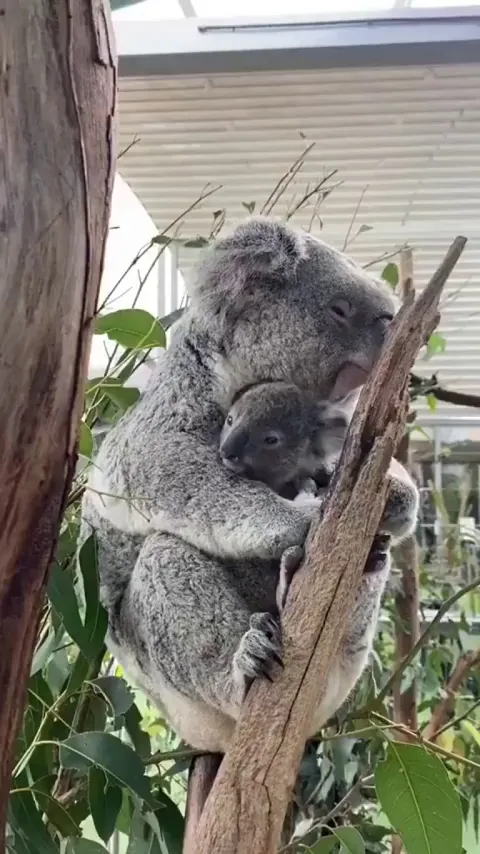 The comfiest place in the world