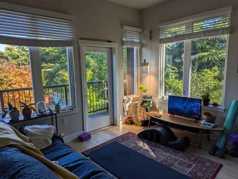 Enjoying my living room lately.