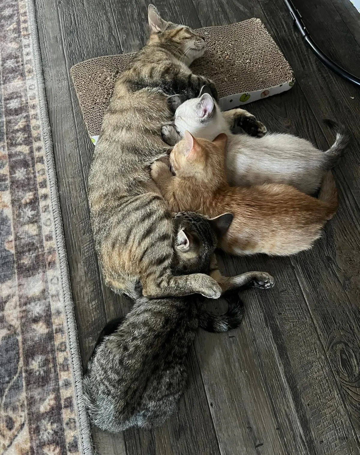 Kept the family together