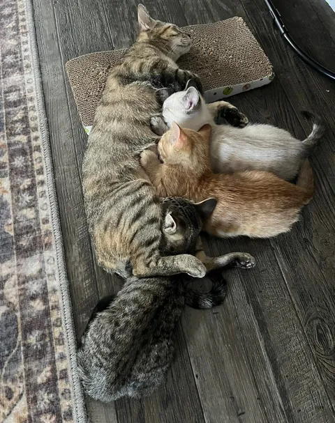 Kept the family together