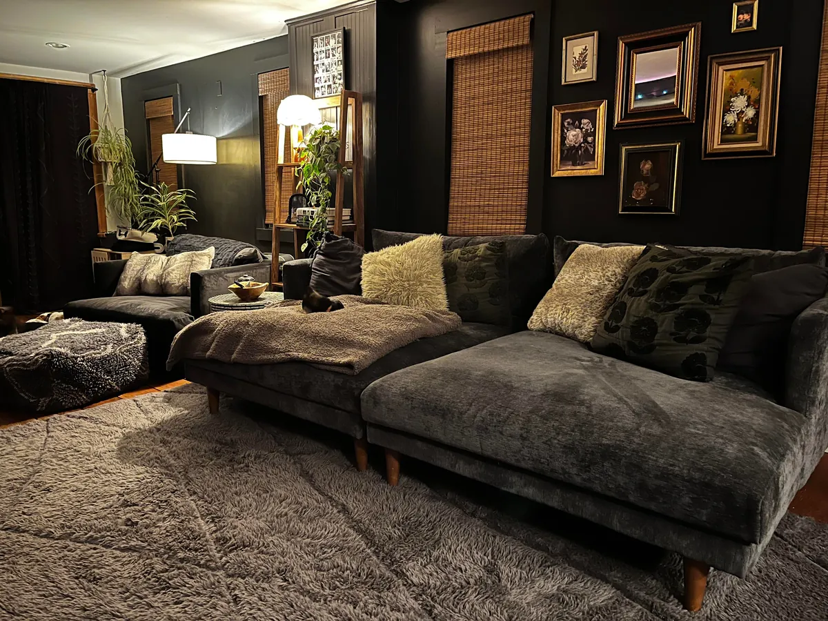 My downstairs living room, kitchen, entry way, music room and bathroom