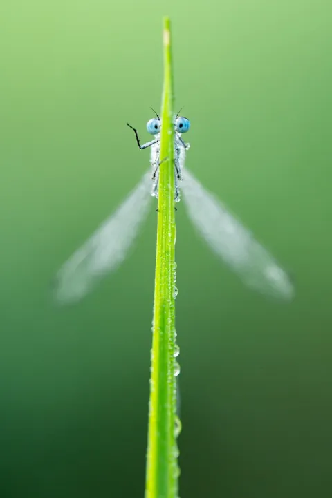 🔥 14 unseen images from the 2025 Comedy Wildlife Awards