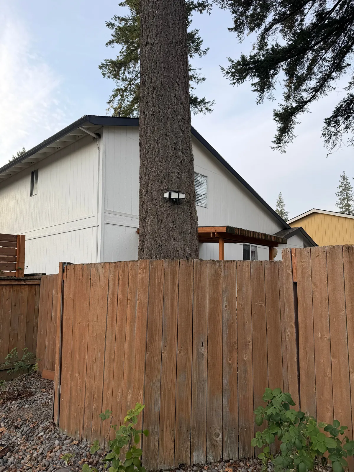 Neighbor installed a motion sensing LED light on a tree and aimed directly into my yard