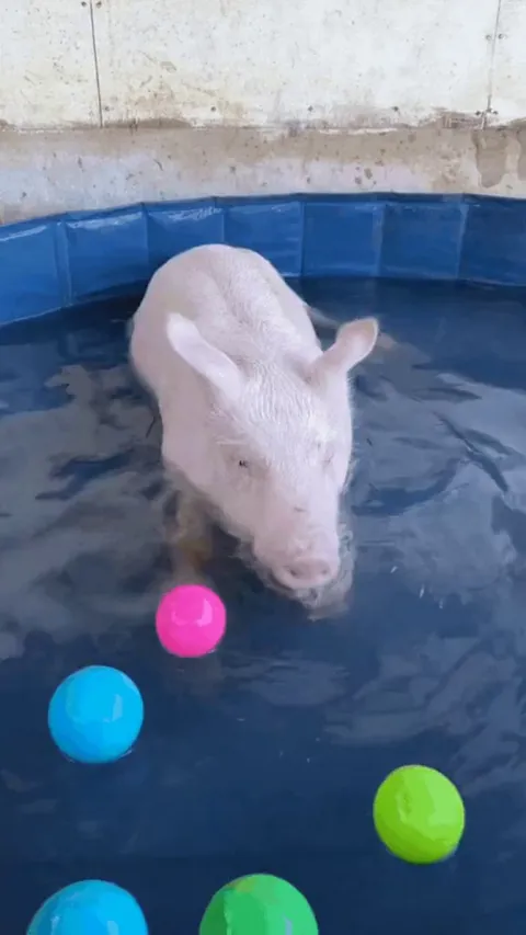 Blowing bubbles and splashing in the pool