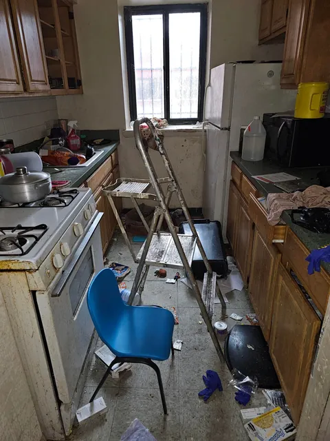 The owner had depression and I cleaned her home for free