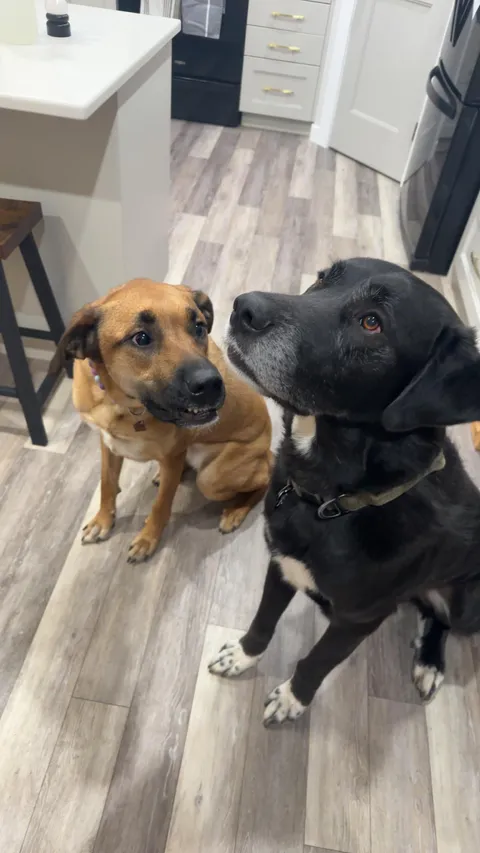 Margie’s picture face