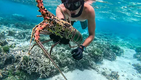I returned to New Guinea, to a very remote atoll for a month long trip, living off the ocean.