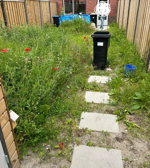Our garden path transformation! Before &amp; after