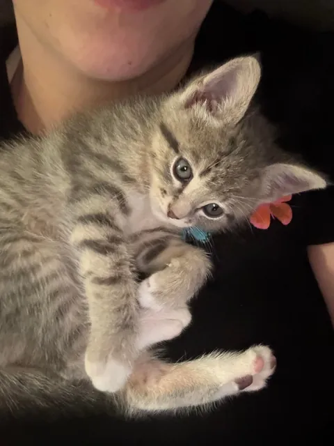 To be loved by something so small ❤️