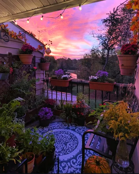 Our balcony garden is extra cozy right now! 🍂🌻🌄 (NJ)