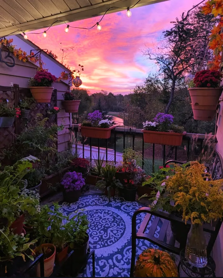 Our balcony garden is extra cozy right now! 🍂🌻🌄 (NJ)