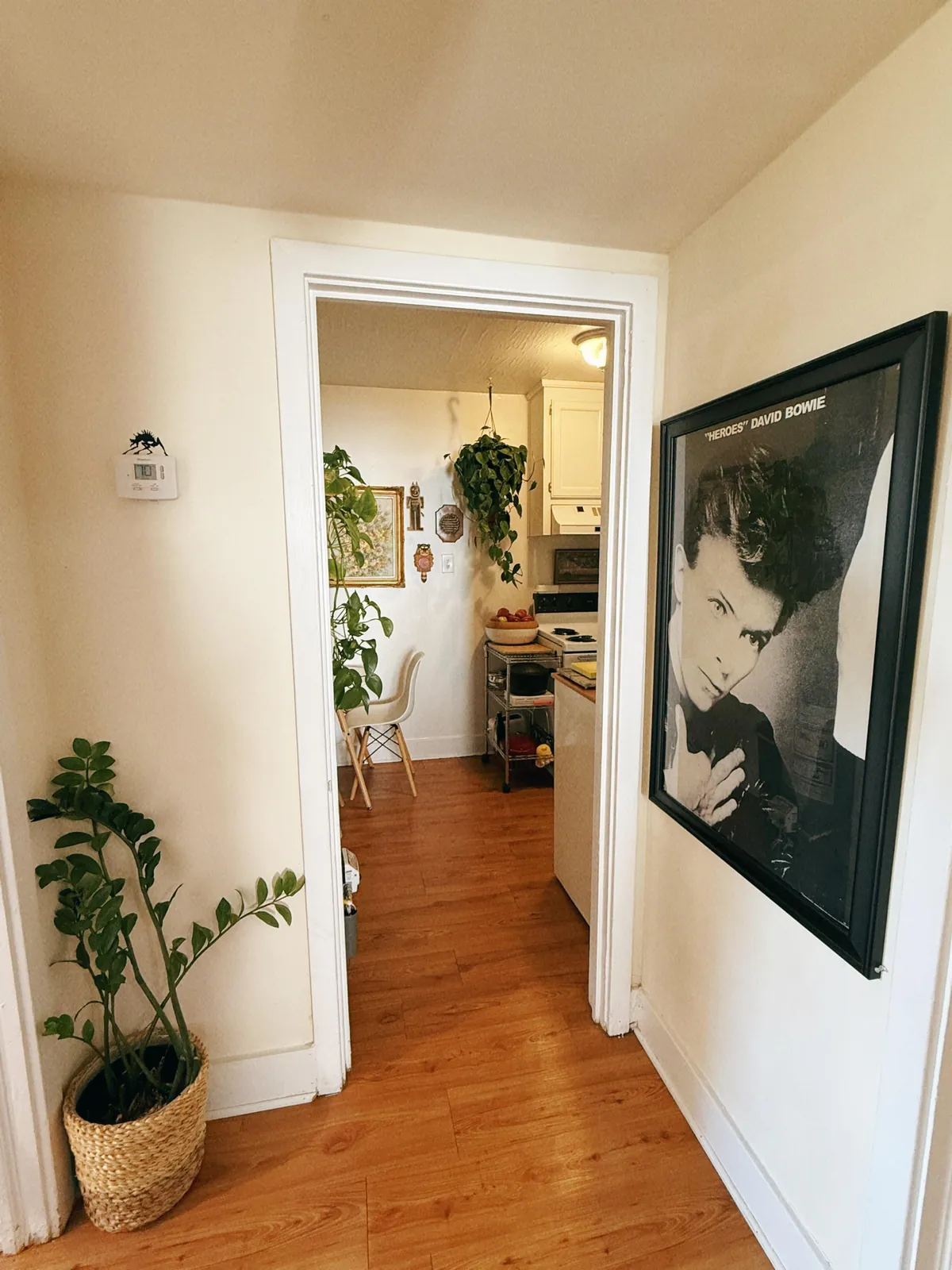 My cozy plant-filled apartment in Alabama (I’ve been told!)