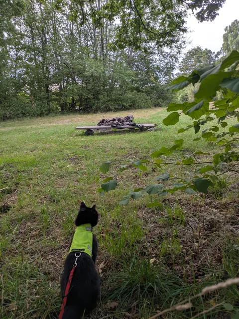 Soon Autumn Walkie