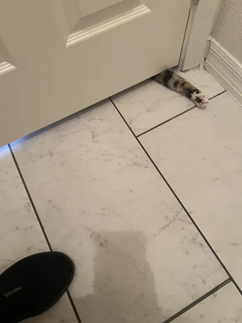 Hemorrhoid Prevention