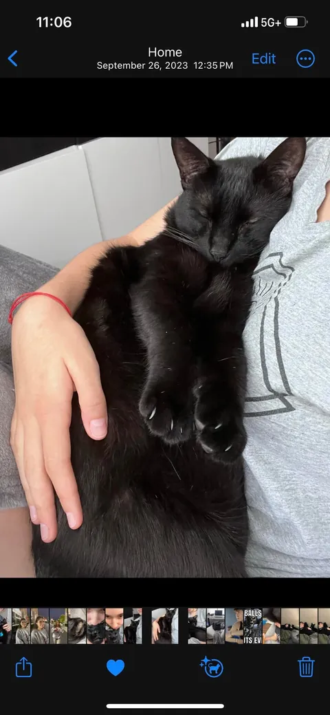 My dad saved him from being a killed