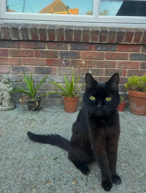 my darling boy of 18 years lost today. I love you