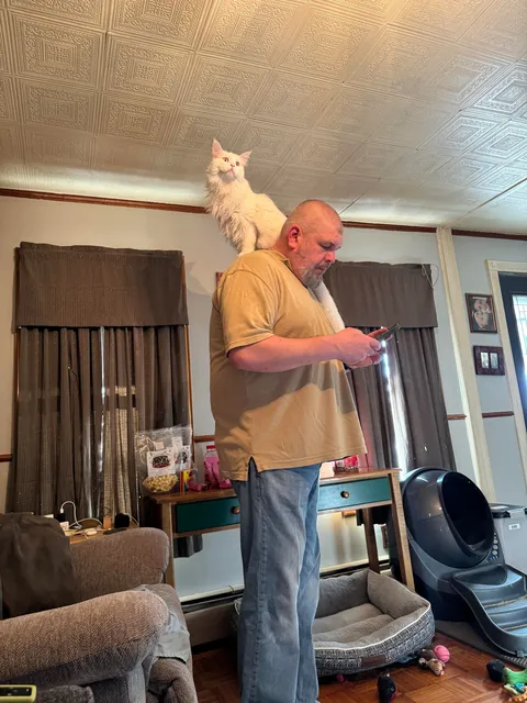 Big guys need big cats 🤣