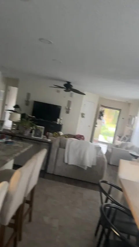 My GFs dog greets me after a couple days of being out of town