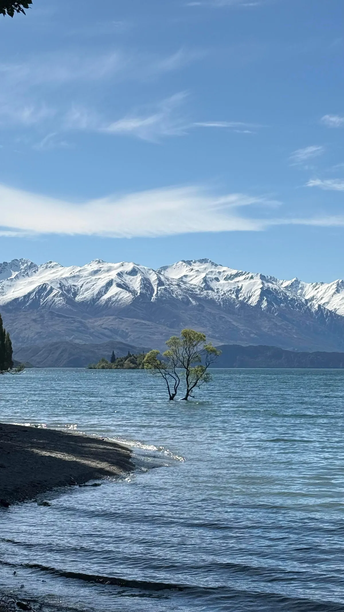 Very Recent Trip to New Zealand (Oct end) Jo