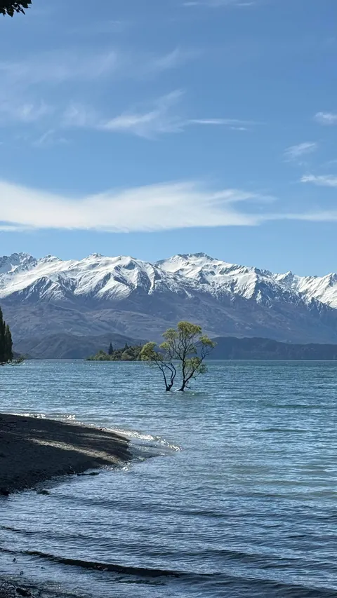 Very Recent Trip to New Zealand (Oct end) Jo