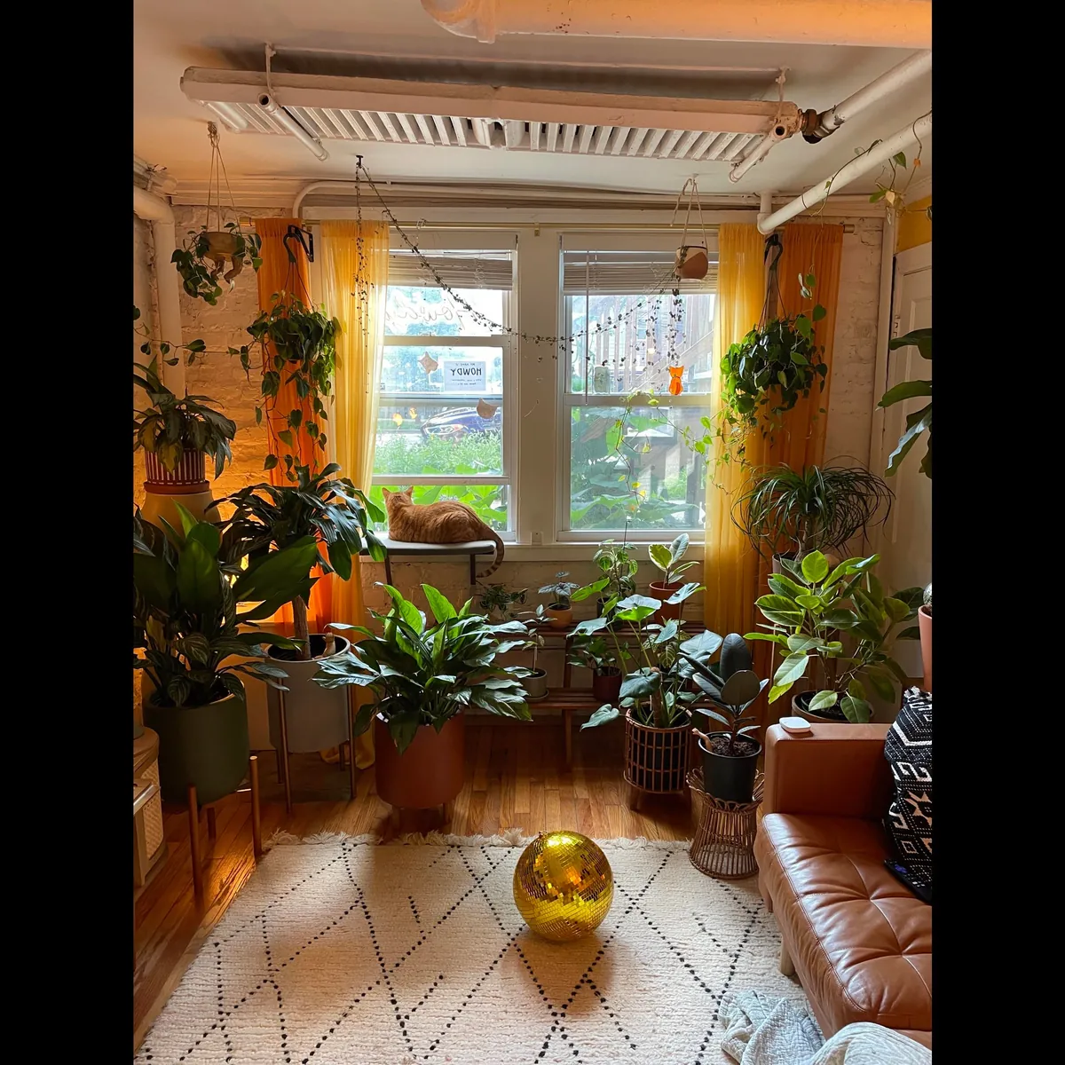 Finally finished decorating my cozy garden unit in Chicago, IL!