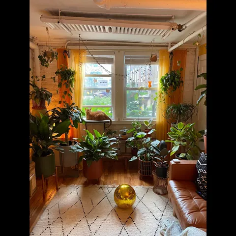 Finally finished decorating my cozy garden unit in Chicago, IL!